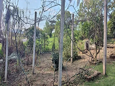 Chácara em São José SC - Chácara em Forquilhas, São José - Foto 4