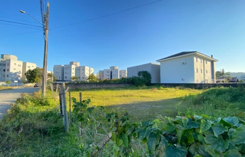 Aririú, Palhoça