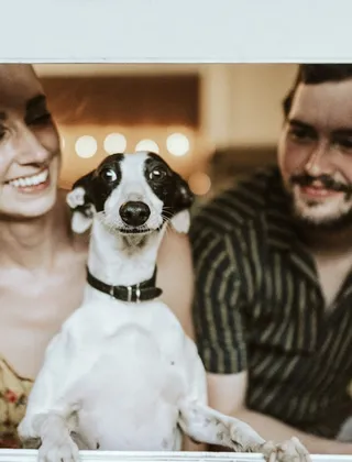 5 imóveis pra você e seu pet.