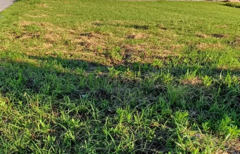 Terreno com 0 quartos em Pedra Branca, Palhoça