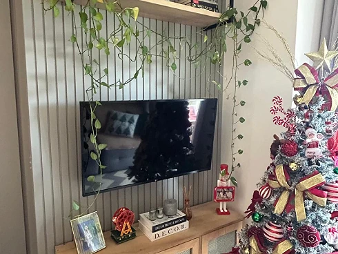 Apartamento em Pedra Branca, Palhoça