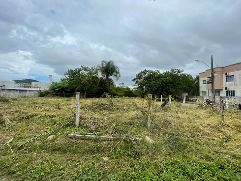 Terreno