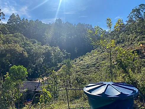 Sítio 10 Hectares  - São Bonifácio - Sítio em Centro, São Bonifácio - Foto 5
