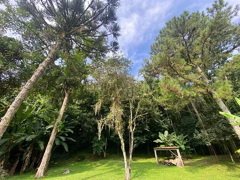 Terreno em Ponta de Baixo, São José
