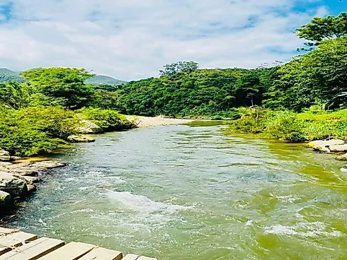 Área com 02 Casas com Piscina em Santo Amaro da Imperatriz - Sítio em Vargem Grande, Santo Amaro da Imperatriz - Foto 4