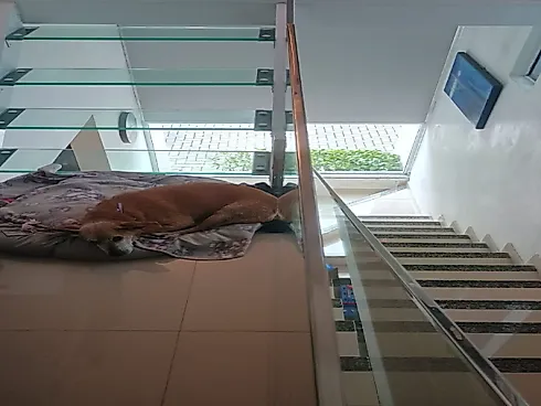 Casa em Forquilhas Leste, São José