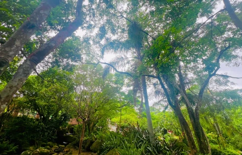 Thumbnail 23