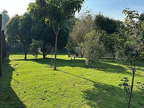 Terreno no Hipico Campestre (1.000 Campestre - Real Parque - Foto 6