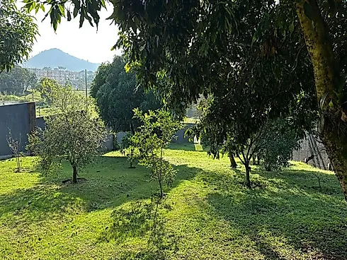 Terreno no Hipico Campestre (1.000 Campestre - Real Parque - Foto 7