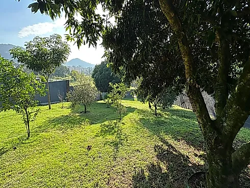 Terreno no Hipico Campestre (1.000 Campestre - Real Parque - Foto 8