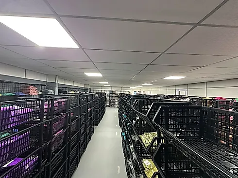 Galpão/Depósito Comercial - 360m², Pachecos - Foto 4