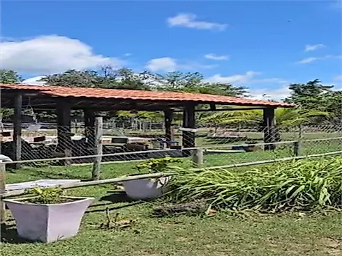 Ipioca, Maceió - Sítio em Ipioca, Maceió - Foto 4