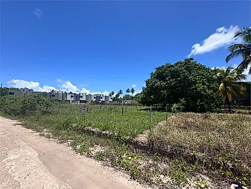 Condominio de Lotes Mangue dos Milagres - Terreno em Praia De Tatuamunha, Porto De Pedras - Foto 3
