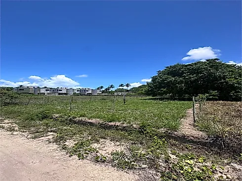Condominio de Lotes Mangue dos Milagres - Terreno em Praia De Tatuamunha, Porto De Pedras - Foto 4