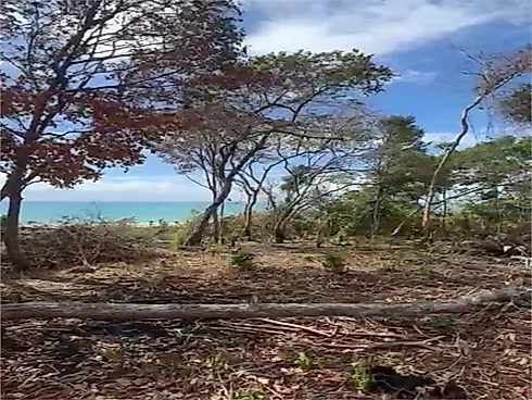 Aldeia do Mar Eco Residence - Terreno em Garça Torta, Maceió - Foto 2