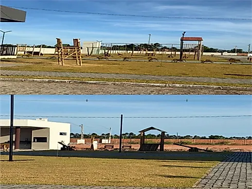 Praia do Francês, Marechal Deodoro - Terreno em Praia Do Francês, Marechal Deodoro - Foto 4