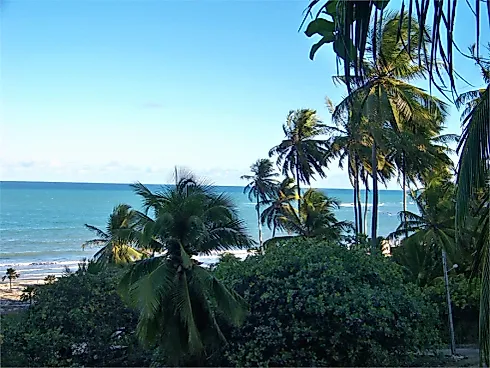 Chácara 10000m² - Riacho Doce - Chácara em Riacho Doce, Maceió - Foto 1