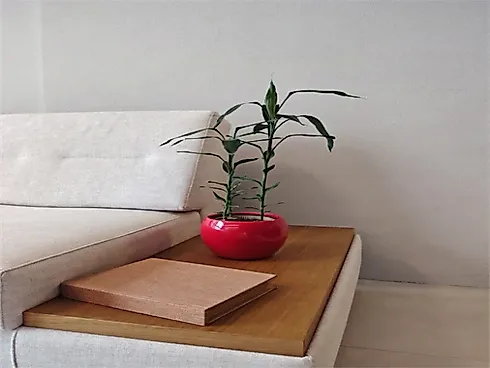 Apartamento 2 Quartos no Edifício Aquamare Residence - Jatiúca - Foto 16
