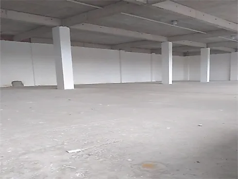 Thumbnail 11