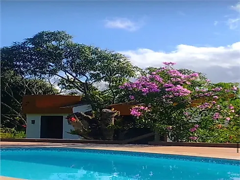 Chácara 6170m² - Centro - Foto 12