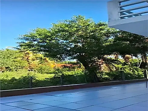 Chácara 6170m² - Centro - Foto 13