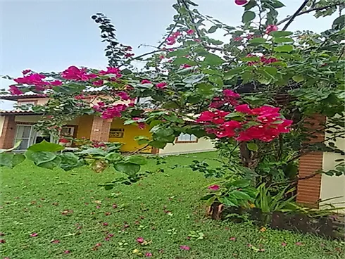Casa 3 Quartos com 1 Suíte e 120m² - Centro - Foto 25