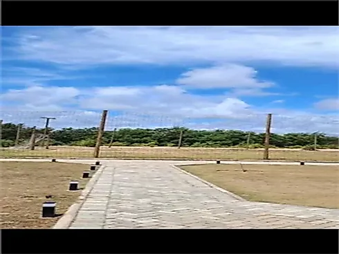Thumbnail 14