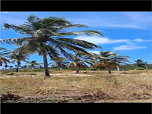 Terreno 200m² - Centro - Terreno em Centro, Japaratinga - Foto 2