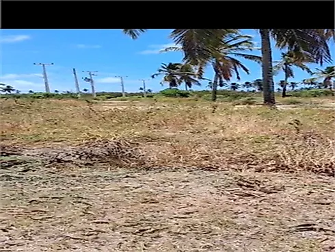 Terreno 200m² - Centro - Terreno em Centro, Japaratinga - Foto 3