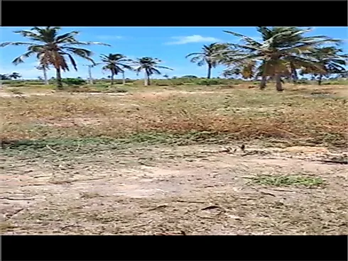 Terreno 200m² - Centro - Terreno em Centro, Japaratinga - Foto 5