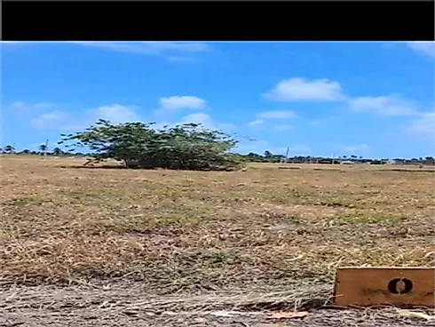 Terreno no Mar de Japaratinga - Centro - Terreno em Centro, Japaratinga - Foto 4