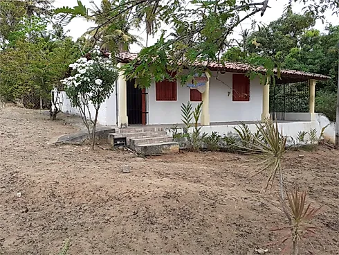 Centro, São Miguel Dos Milagres