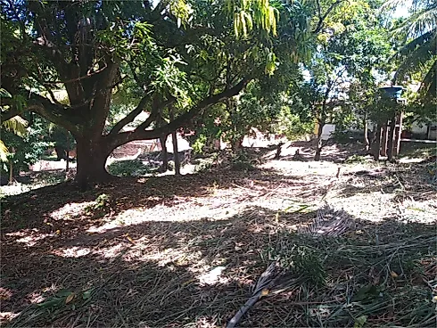 Casa 4 Quartos com 228m² - Centro - Foto 11