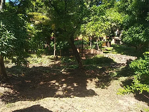 Casa 4 Quartos com 228m² - Centro - Foto 12