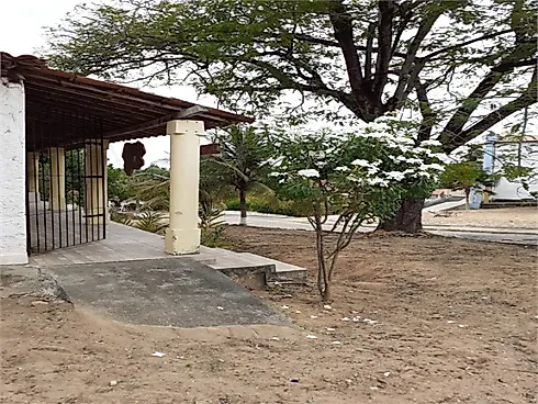 Casa 4 Quartos com 228m² - Centro - Foto 20