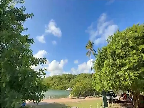 Praia de Tatuamunha, Porto de Pedras - Casa em Praia De Tatuamunha, Porto De Pedras - Foto 5