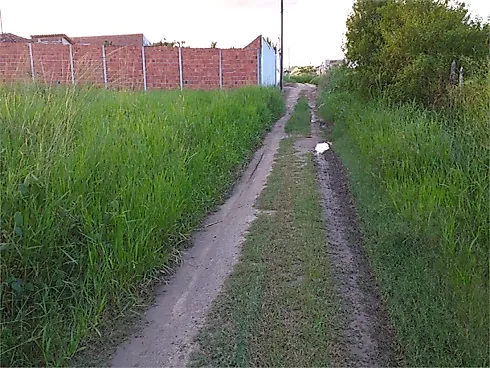 Terreno no Sementeira - Centro - Foto 12
