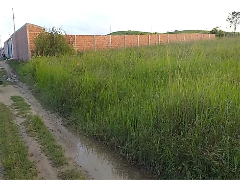 Terreno em Centro, União Dos Palmares