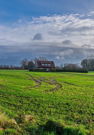 Terrenos