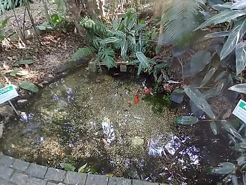 Apartamento 4 Quartos, Cozinha Planejada Residencial Dona Gelta - Córrego Grande - Foto 38