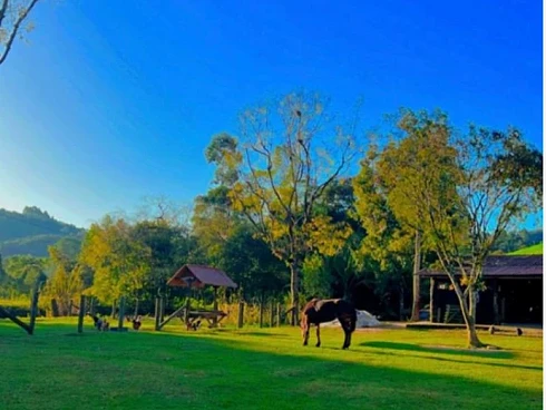 Sítio em Garcia, Angelina