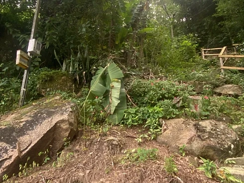 Terreno em Ratones, Florianópolis