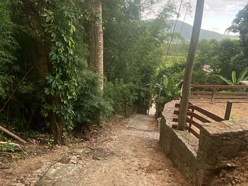 Ratones, Florianópolis