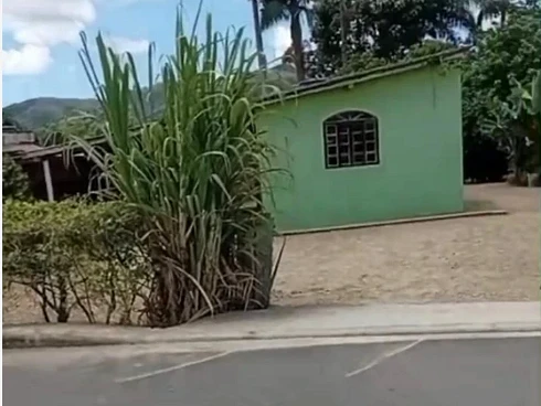 Três Riachos, Biguaçu