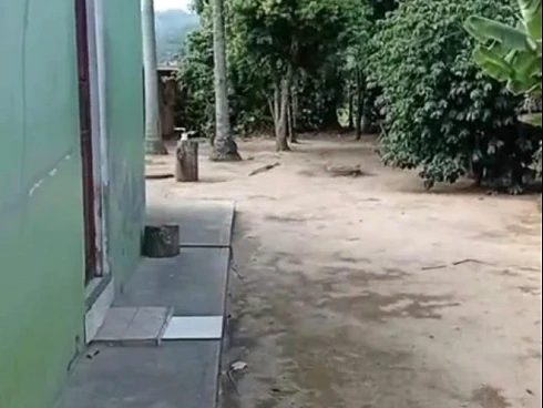 Casa em Três Riachos, Biguaçu