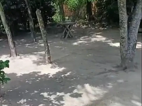 Casa em Três Riachos, Biguaçu
