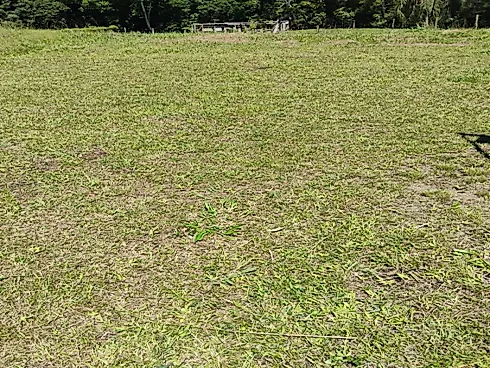 Terreno em Forquilha do Rio D'una, Imarui