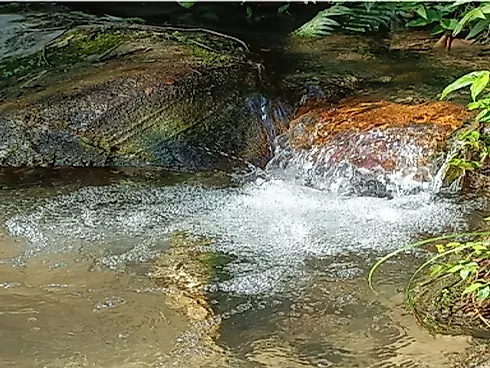 Terreno para Sitio - Terreno em Rio do Cedro, Aguas Mornas - Foto 5
