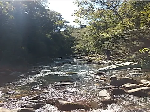 Sitio em Anitápolis - Sítio, Anitápolis - Foto 1