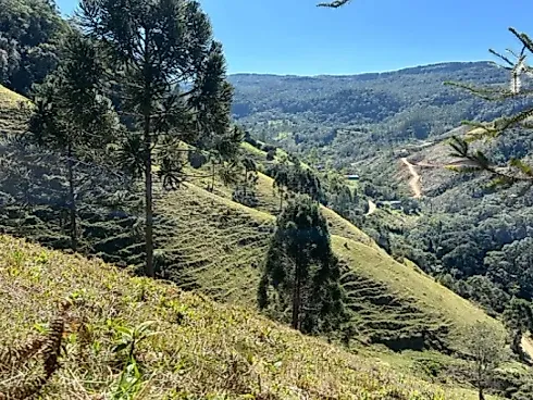 Sitio em Anitápolis - Sítio, Anitápolis - Foto 3